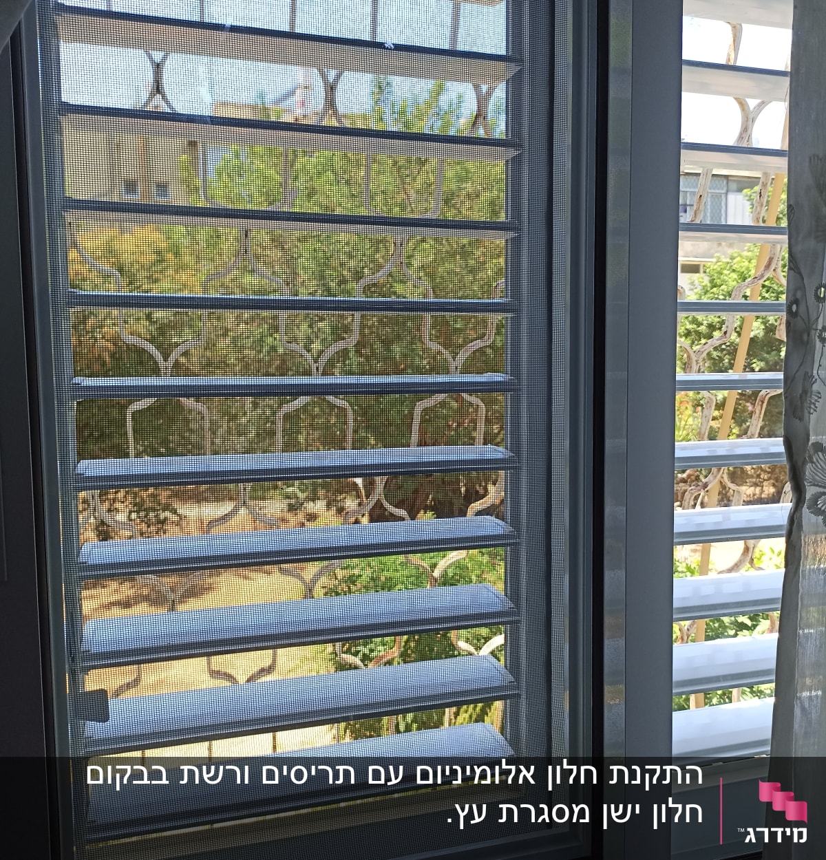 תריסי אלומיניום בחלון עם רשת